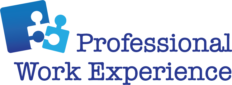 professional experience willtecsolutions i have experience in working